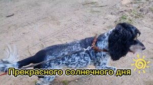 Пожелаем всем