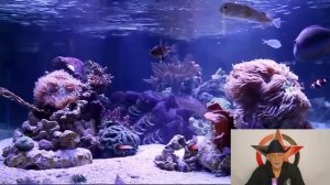 Принять Себя : Травма сравнения и Свобода быть настоящим