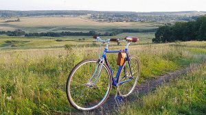 Велосипед SHULZ I Am Single 2025 ( Fixed gear на чиле )