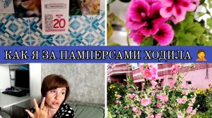 20-07-2025 ДОМАШНИЕ ДЕЛА❤️ МОИ ПОМИДОРЫ🍅НЕУДАВШАЯСЯ ПОКУПКА🤦ОТВЕЧАЮ НА КОММЕНТАРИИ🙂