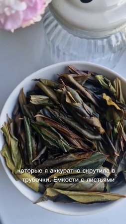 КАК Я ДЕЛАЮ ЧАЙ #чай #ферментация #природа #shorts