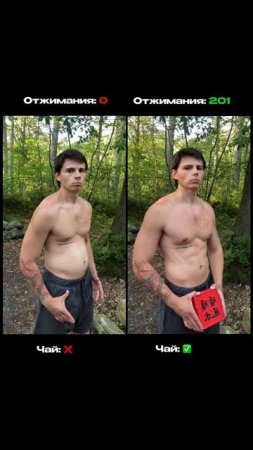 5 причин прямо сейчас начать отжиматься и пить чай