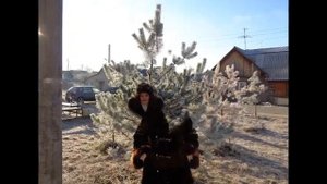 Посвящение удачи  - Автор музыка и поёт Сергей Клушин