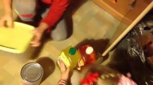 HV. Бакалейщики. Гриша и марта. Апрель 2016