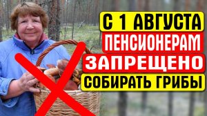 НОВАЯ УГОЛОВНАЯ ОТВЕТСТВЕННОСТЬ ДЛЯ ПЕНСИОНЕРОВ В РОССИЙСКОЙ ФЕДЕРАЦИИ