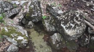 Родник Уксея