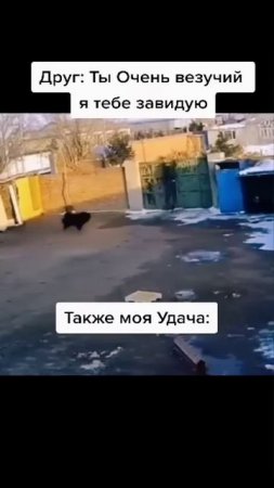 Моя удача