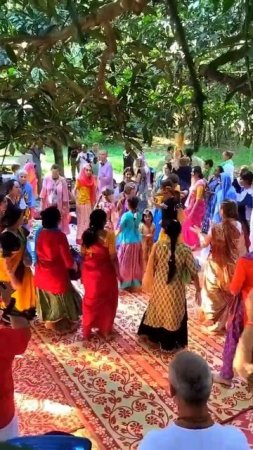 No tension No drama! Only Hare Krishna Hare Rama! #kirtan #harekrishna #shorts