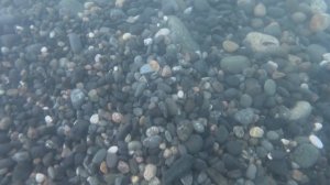 В море с головой