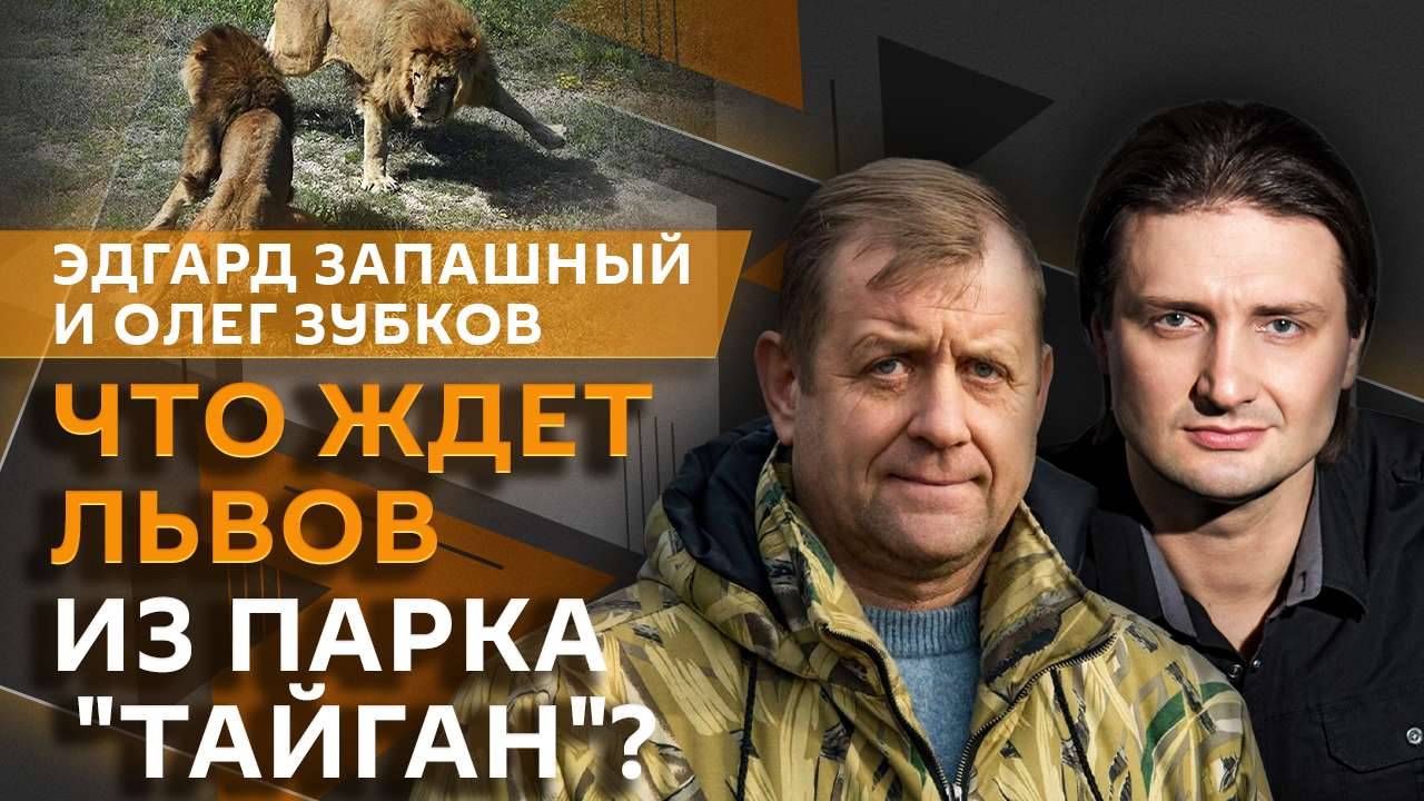 Эдгард Запашный. Почему львы нападают и как убежать от медведя?
