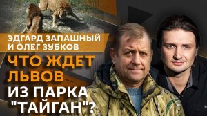 Эдгард Запашный. Почему львы нападают и как убежать от медведя?