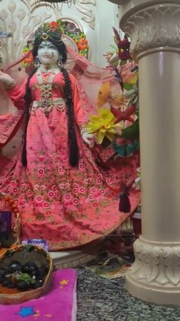 Very beautiful deities  #vrindavan #dieties #beautiful #shorts