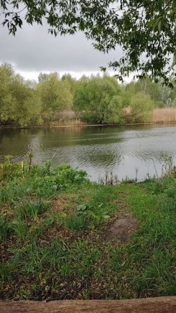Сегодня были в прекрасном месте, природа просто нереальная