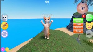 КОТИКИ ТАНЦУЮТ В РОБЛОКС ! Я СТАЛА КОТИКОМ ! КОШАЧЬЯ ВЕЧЕРНИКА В РОБЛОКС | Kitten Game ROBLOX