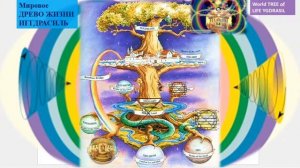 Для чего нужна СОНАСТРОЙКА. На что именно мы НАСТРАИВАЕМ своё СОЗНАНИЕ