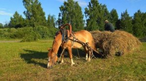 Ах, эта русская глубинка