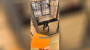 Best video of Tik Tok! 20.07.25 / 05