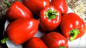 ПИКИРОВКА ПЕРЦА ДЛЯ НАЧИНАЮЩИХ ДАЧНИКОВ
