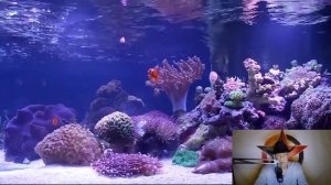 Пассионарность Гумилёва: Идеи завоевывают мир и исчезают