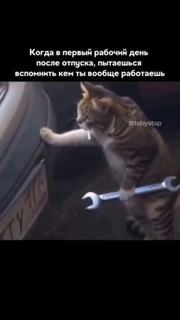 Когда в первый рабочий день после отпуска пытаешься вспомнить кем ты работаешь