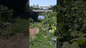 Жизнь пенсионеров России!