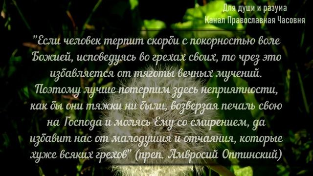 НАХОДЯСЬ В ХРАМЕ БОЖИЕМ ВЕДИ СЕБЯ ТАК! смотреть онлайн