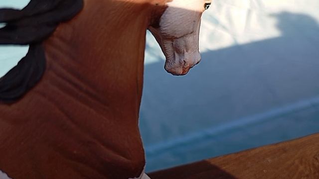 мини-фильм излишняя забота смотреть онлайн