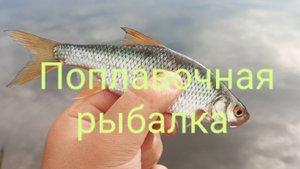 Поплавочная рыбалка на реке Сосьва