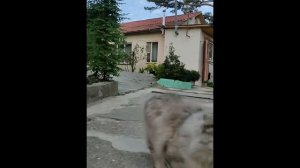 Лёгкая зыбь