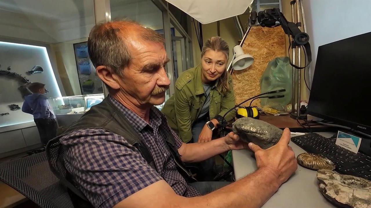 В музее Ульяновской области представили находки Юрского и Мелового периодов