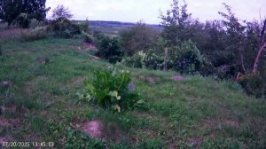 Обзор участка , за год