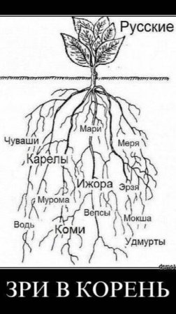 РУСкий, это а(ббб)реВиаТура-РавноПравНАя УСтойЧивая СисКаТЕМА(мы). МатьРицы-МАТрёшКи...