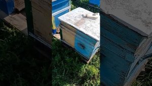 ставим корпуса.