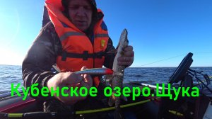 Кубенское озеро.Щука.Рыбалка в Вологодской области.