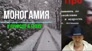 От полигамии к моногамии : Как собственность изменила отношения (R)