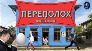ПЕРЕЗАЛИВ ! Переполох в курятнике.Телефонные аферситы