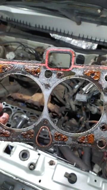 Вскрыл свой ДВС пробило прокладку ГБЦ это полный пизд**ц смотреть онлайн