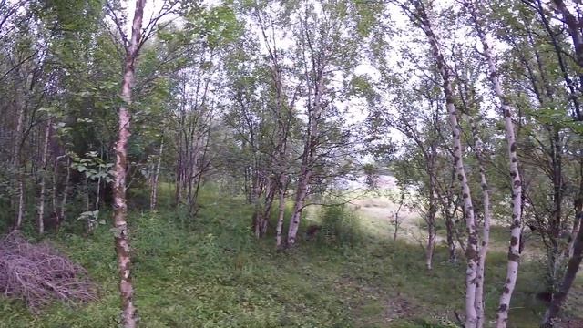 Карелия август 2017  Часть 1 смотреть онлайн