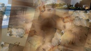 ТЕБЕ Я ПИШУ. Стихи. А. Мацонко, муз. Н. Первина, вок. Л. Великанова, звук. А. Макалиш