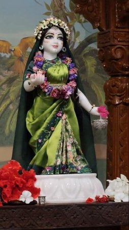 Beautiful deities in Devotee community, Russia ❤️#beautiful #deities #russia #recommended #shorts