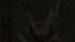 КАК ПРАВИЛЬНО ПРИВИТЬ НА ОДНУ ЯБЛОНЮ НЕСКОЛЬКО СОРТОВ