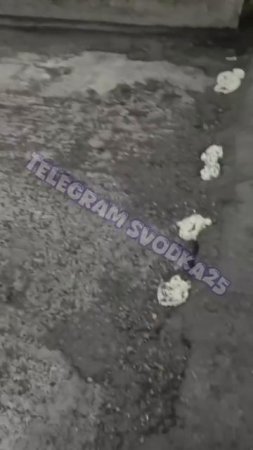 В Приморье безумные рабочие залатали огромные дыры в бетонном мосту с помощью монтажной пены !!!
