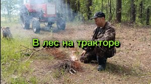 Прогулка на тракторе в лес.