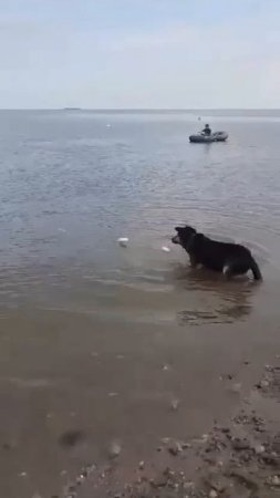Универсальный рыбак