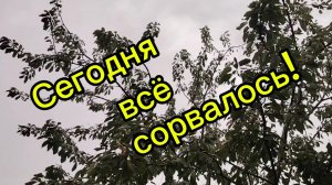 Ейск ! Сегодня что то всё сорвалось ! 20-07-2025