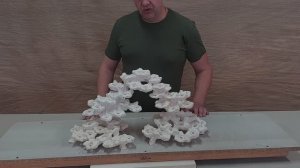 КДС-343 Декорация из биокерамики , для морского аквариума.