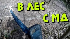 Коп в Лесу с Металлоискателем XP ORX