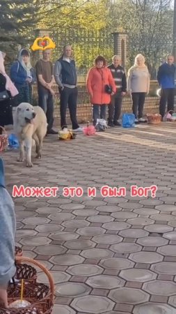 Может это и был Бог
