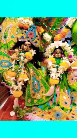 Ekachakra Dham deities, Nityananda Chandra, Gouranga Rai and Radha Vrindavan Mohan #deities #shorts