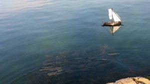 Кораблик рыбки чайки